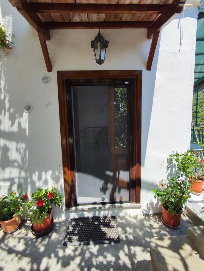 Eden Tra I Limoni Apartment Minori Luaran gambar