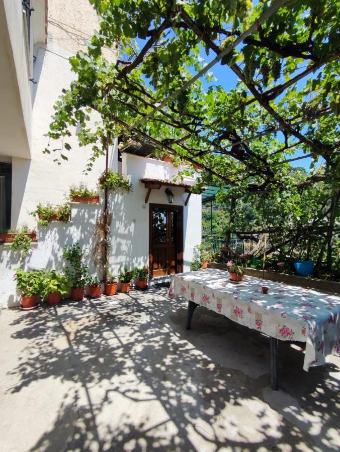Eden Tra I Limoni Apartment Minori Luaran gambar