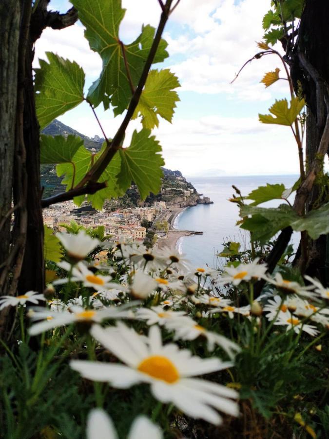 Eden Tra I Limoni Apartment Minori Luaran gambar